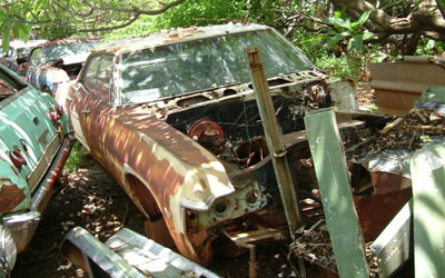 66
                      Chev Impala