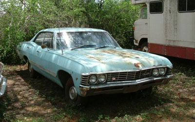 65 Chev
                      Impala